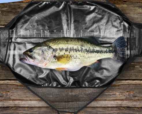 Photographed Fishing Unhooking - Fishing Bag Waterproof 评论和价格
